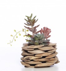 SUCCULENTS IN TIMBER STACKED PLANTER 