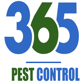 Best Pest Control Services In Port Melbourne