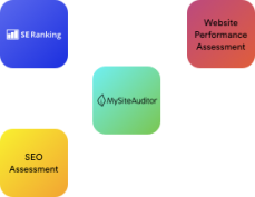 Website Auditing Services