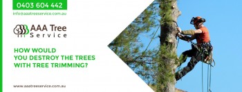 Take the best care for trees with AAA Tree Service 