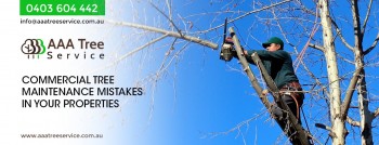 Say no to over pruning and hire the experts from AAA Tree Service 