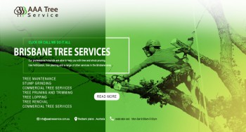 Get the full planning of planting trees from AAA Tree Service 
