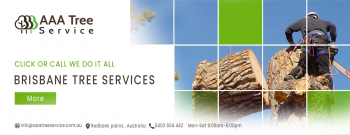 The best tree Removal Company in Australia 