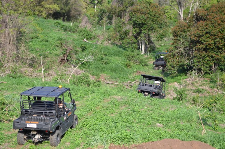 Looking for Buggy Tour in Queensland - Landcruiser Mountain Park