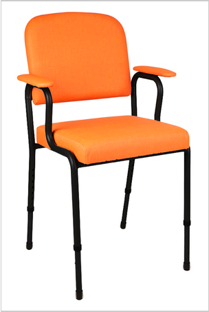 Alfred Z Frame Chair