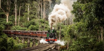 PUFFING BILLY SPECIAL OFFER – 20% off Ex
