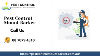 Pest Control Mount Barker | Pest Control Services