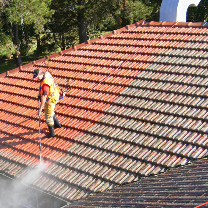 Roof renovation Services