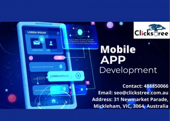 Professional Mobile App Development Co.