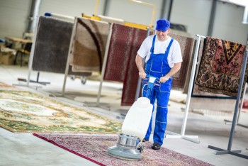 Carpet Cleaning Same Day Services 