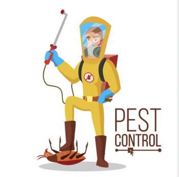 Pest Control Alexandra Headland