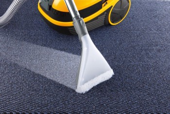 Affordable Carpet Steam Cleaning Service