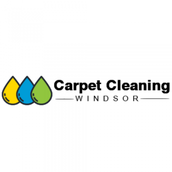 Professional Carpet Cleaning Services in Windsor