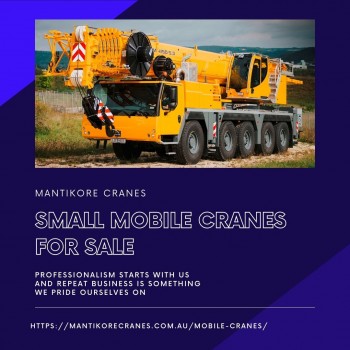 Small Mobile Cranes For Sale