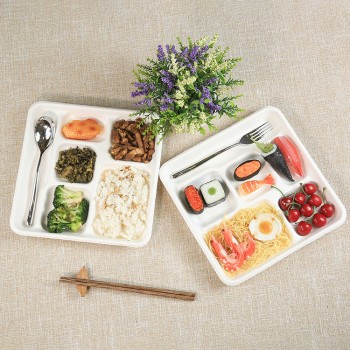 Biodegradable Disposable Bagasse Food Tray69