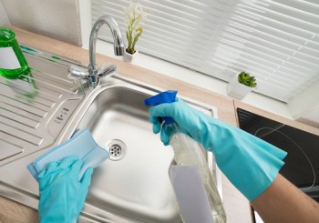 Expert Domestic Cleaning Services in Adelaide