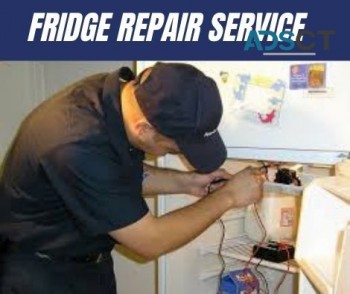 Trusted Fridge Repair Company Ipswich