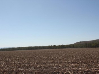 F1013 - KABAN DRY-LAND FARMING