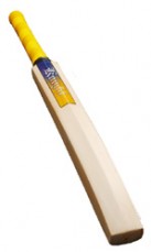 Cricket Technique Bat Harrow