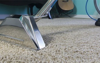 Search Carpet Cleaners in Hervey Bay
