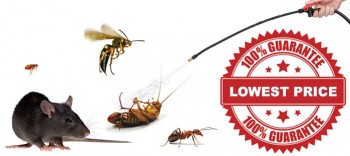 Pest Investigators pest management services and advice