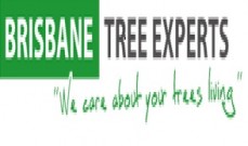 Tree Loping Services Gold Coast
