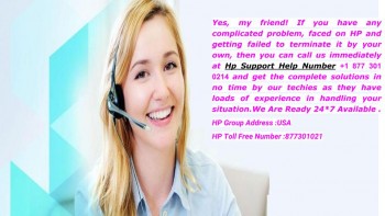 HP Support Help Number 