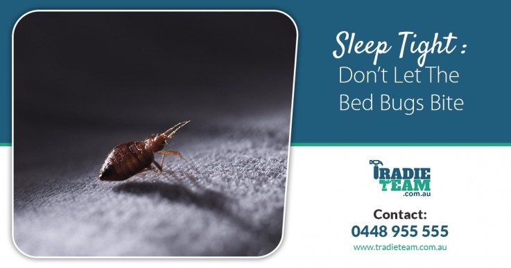 Bed Bugs Control in Melbourne for a Peaceful Night Sleep