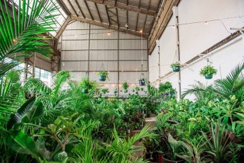 Melbourne - MEGA Indoor Plant Warehouse 
