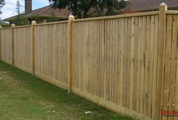 Timber Fence Wollert