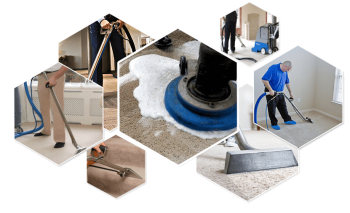 Drymaster Carpet Cleaning Services in Ne