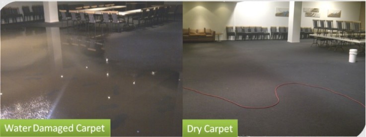 Carpet Restoration Company | Capital Restoration Cleaning