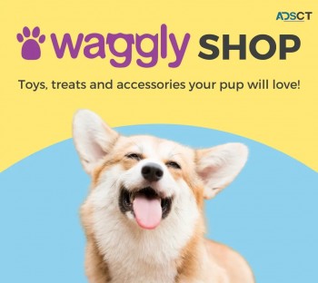 Waggly - The Monthly Dog Toy and Treat B