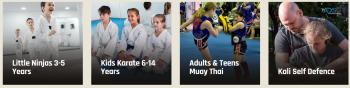 Advanced Martial Arts and Fitness School