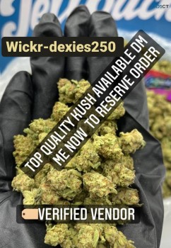 Cold Melbourne wickr dexies250 