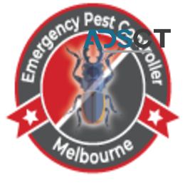 Same Day Pest Control Melbourne