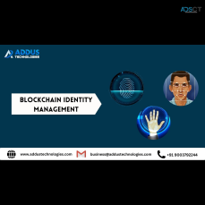 Blockchain Identity Management Solution 