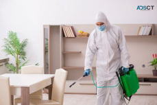 Guaranteed Spider Treatment Pest Control in Melbourne 