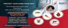 Best Pest Control in Melbourne