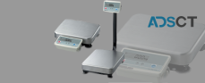 Buy Commercial Scales for Your Business