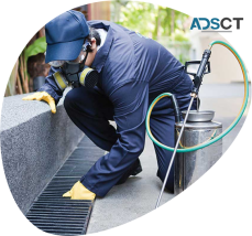Looking for Pest Control Services in Penrith, Box Hill, Liverpool, Parramatta and Blacktown?