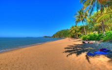 Affordable and Reliable Airport Transfers from Cairns to Port Douglas 
