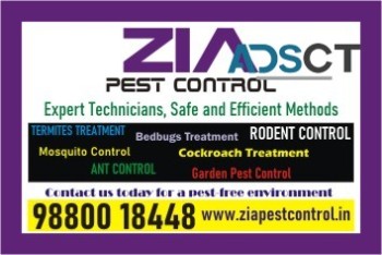 Rodent Control  | Rodent Treatment | Pest control services | 1825