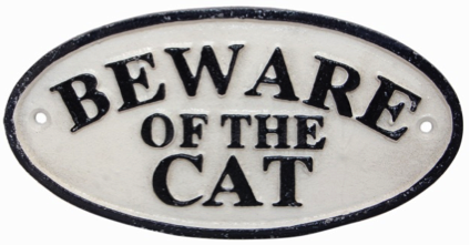 Beware of the Cat Sign Oval