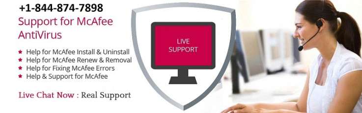 McAfee Support Phone Number (Toll Free)