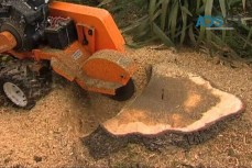 Stump Grinding Professional Services 
